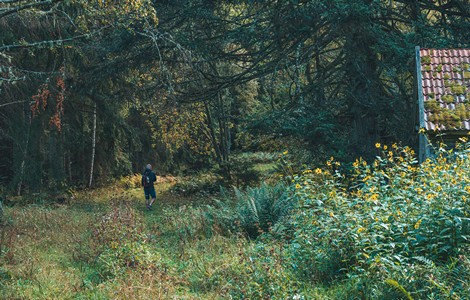 En man som går i en skog. 