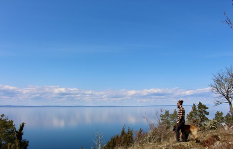 En bild på utsikten från naturreservatet Holkaberg Narbäck. På bilden ser man en man och hans hund som står framför en utsiktsplats framför sjön Vättern. 