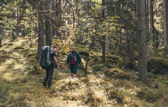 Två vandrare som går i skogen. 