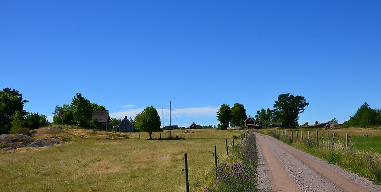 Bild över Kråkeryd naturreservat.