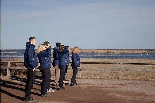 En grupp människor som står och blickar ut över sjön Tåkern. 