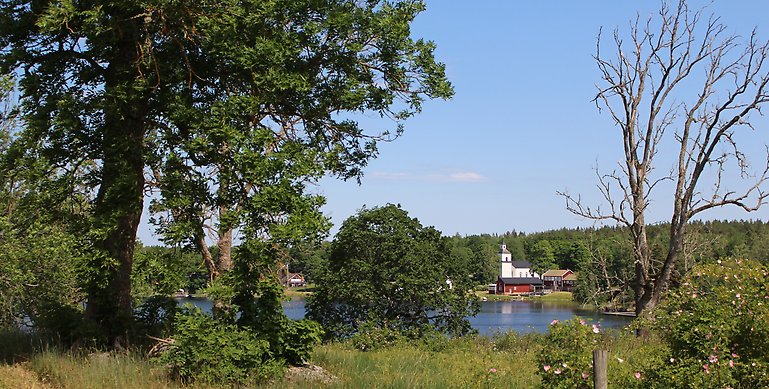 En landskapsbild över Trehörna sjön och Trehörna kyrka. På bilden ser man flera grönskande träd. Längre bak i bilden skymtar en sjö och en vit träkyrka.