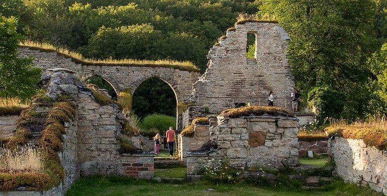 Ett foto över Alvastra Klosterruin. På bilden ser man höga ruiner ifrån ett gammalt munkkloster. Längs med väggarna ser man människor som går omkring och ser ut över platsen. I bakgrunden kan man se en grön skog.